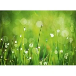 Eurographics Kitchen Glas SpritzschutzGreen Morning II 65cm X 90 Cm -Küchenbedarf Geschäft 561830 1041 dgs dt40091 1